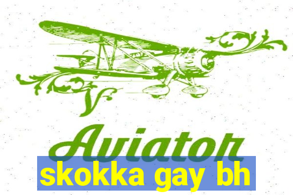 skokka gay bh